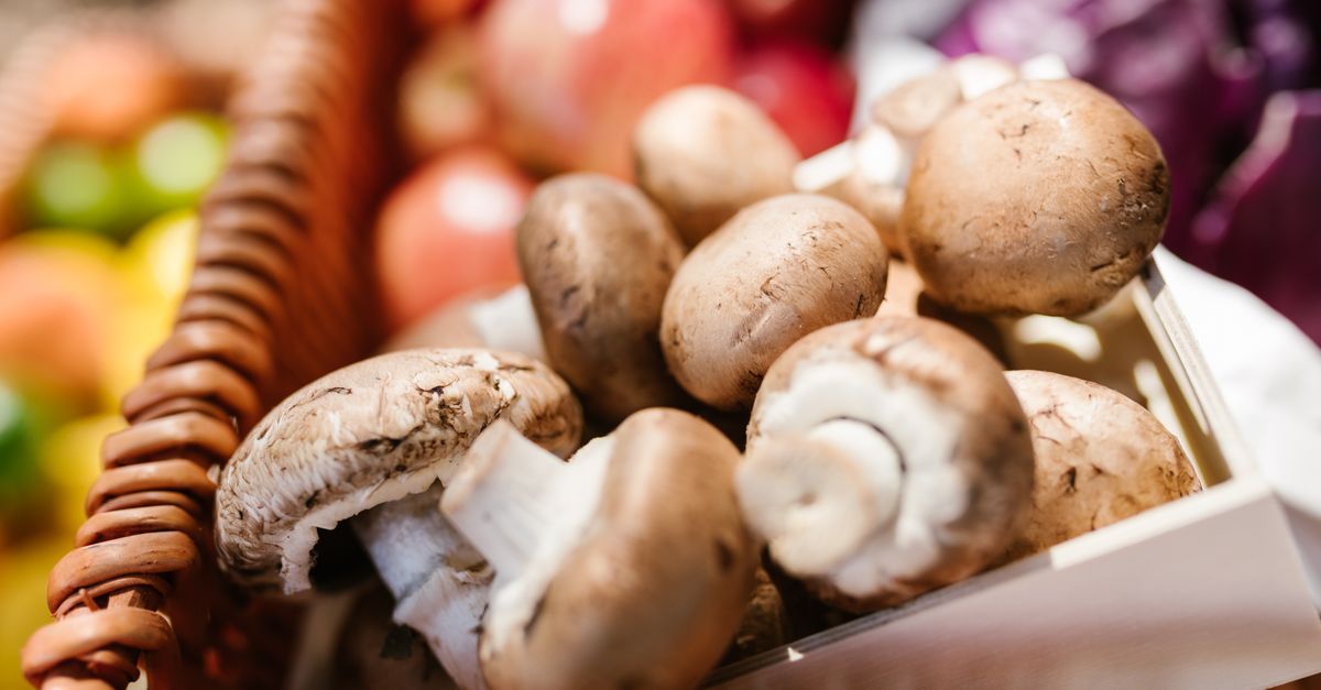Champignons langer goed houden: bewaartips voor koelkast, vriezer en drogen