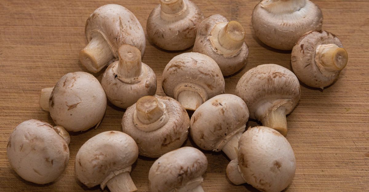 Verse gesloten champignons met stelen op een houten snijplank
