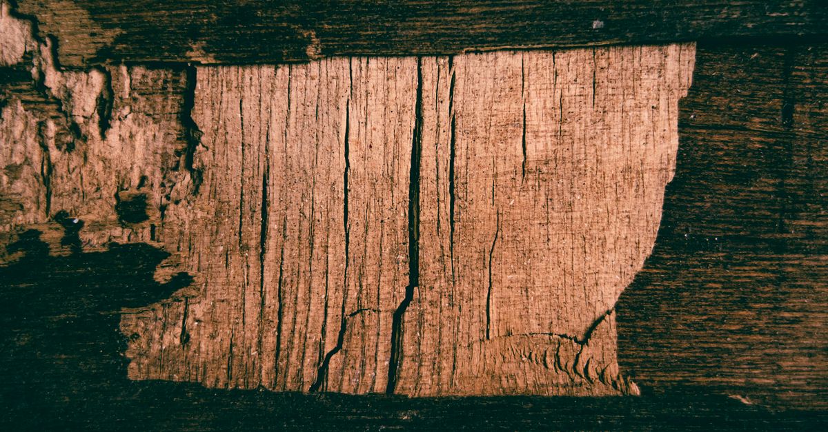 Close-up van verweerd, gescheurd houten oppervlak met zichtbare vochtschade en houtrot.