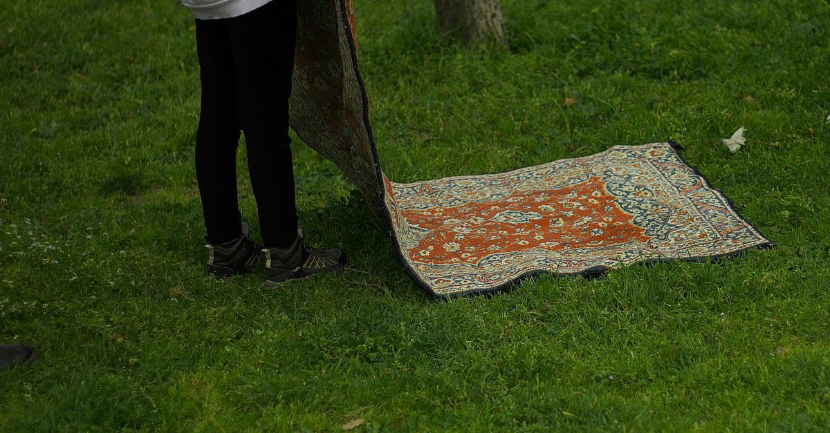 Een persoon houdt een vloerkleed omhoog om het buiten op het gras te laten drogen in het daglicht.