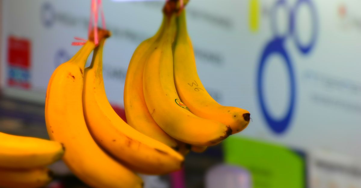 Een tros gele bananen hangt aan een haakje, met een wazige achtergrond.