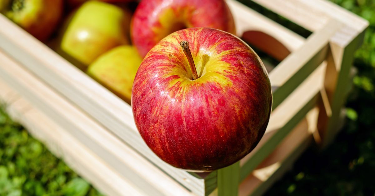 Appels knapperig houden: zo blijven ze weken tot maanden vers