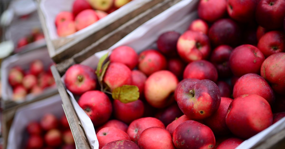 Houten kratten vol met verse rode appels, van bovenaf gefotografeerd.
